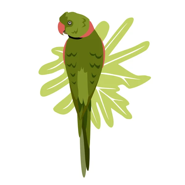 Tropikalny Ręcznie Rysowane Kolorowe Papugi Tłem Liści Naszyjnik Papuga Zielona — Wektor stockowy