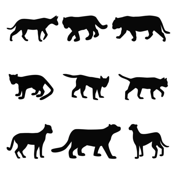 猫科黑色剪影集 线形简约 矢量图集 — 图库矢量图片