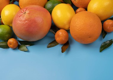 Arkaplan veya tasarım için kopyalama alanı olan taze narenciye meyvesi, açık mavi arkaplanda yapraklı portakallar