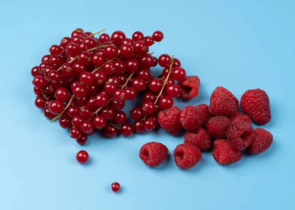 set of fresh garden berries raspberries and red currants close-up on blue background