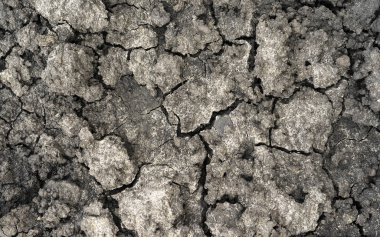 Çatlak toprağın en üst görüntüsü. İlkbaharda çatlaklardaki kuru toprak. Genç otlar kuru toprakta yetişir. Toprak erozyon dokusu arkaplanı