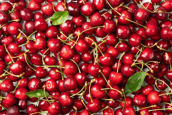 Cherry background, sweet cherries photographed from above