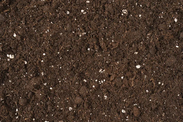 Close Brown Color Soil Texture Backdrop Design Use Textured Ground — Stock Photo, Image