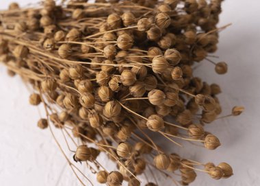 Üst görüntüde beyaz bir zemin üzerinde bir buket kurutulmuş çarşaf, seçilmiş odak. Beyaz arka planda izole edilmiş olgun keten tohumu kutuları. Kuru keten tohumu kapsülleri.