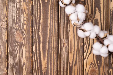 Pamuk çiçeklerle arka plan için çerçeve, ahşap arka planda yazı için çerçeve. Çiçekli tebrik kartı. Pamuk çiçekli metin için çerçeve.