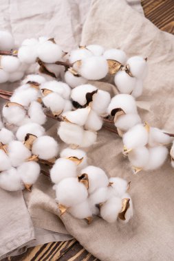 Pamuk çiçekleri keten bir çarşafın üzerinde, giysi ve pastel kumaşlar için doğal, yumuşak bir kumaşın arka planında yatar.