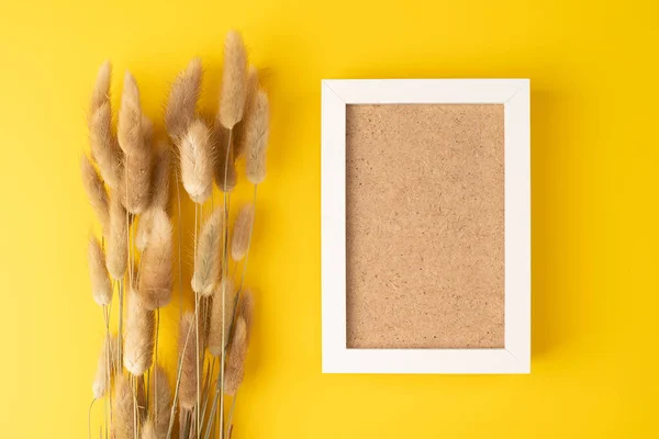 Dry fluffy bunny tails grass Lagurus flowers on yellow background with photo frame. Tan pom pom plants backdrop with white frame