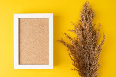 Beyaz çerçeveli sarı arka planda Reed Pampas otları. Fotokopi alanı ve kabarık sazlıkların çiçeğiyle çerçeve arkaplan