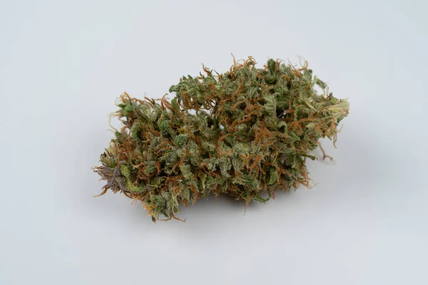 Cannabis Bud Крупним Планом Білому Тлі Макро Маріхуана Вибірковий Фокус — стокове фото