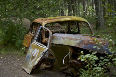 Orman yolunda paslı bir araba.