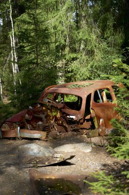 Paslı terk edilmiş araba ormanda.