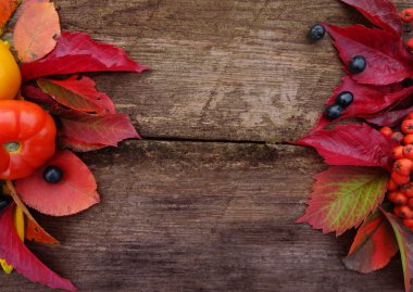 Renkli taze domates hasat. Sonbahar arka plan.     