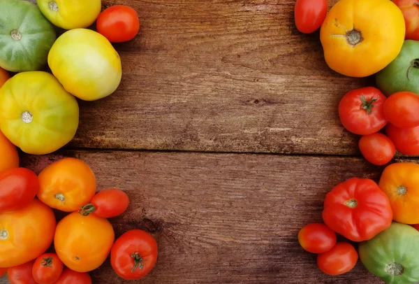 Tomatenernte. frisch geerntete Tomaten. — Stockfoto