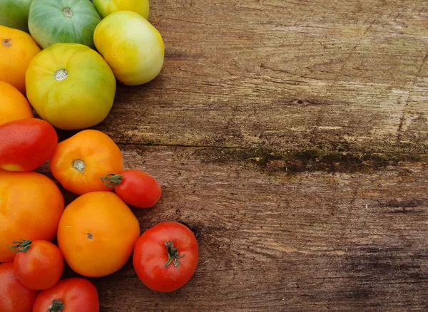 Colheita de tomate. tomates recém-colhidos . — Fotografia de Stock