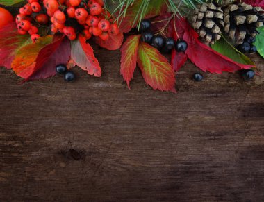 Eski ahşap doku. Sonbahar arka plan.  