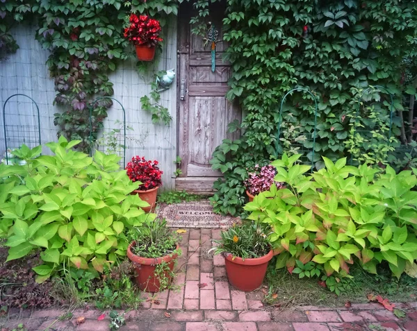 Yeşil yaprakları ile ahşap kapı 