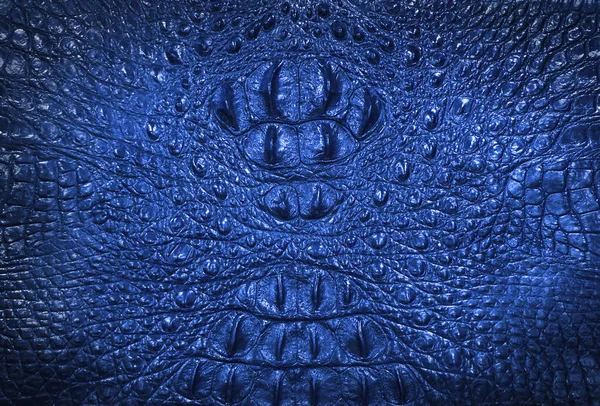 Piel Con Textura Cocodrilo Vestido Fondo Dragón Abstracto Colores Azules — Foto de Stock