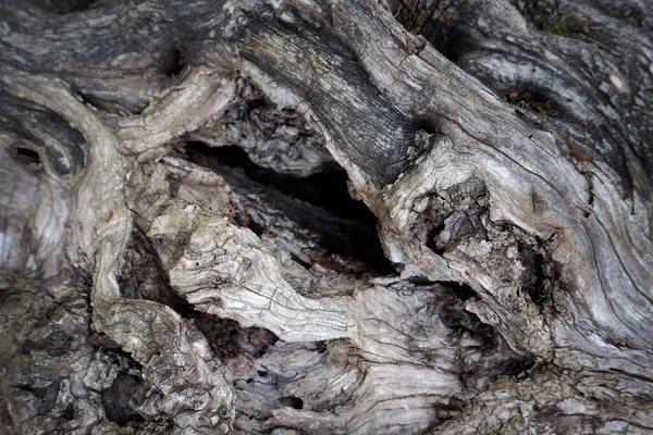 Zwart Houten Constructieoppervlak Bovenaanzicht Natuurlijke Achtergrond — Stockfoto