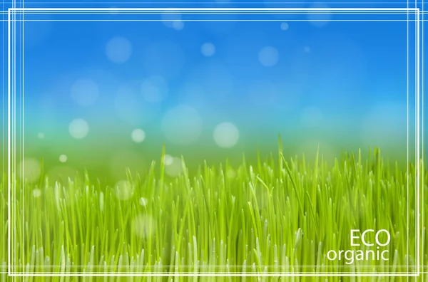 Grünes Gras, blauer Himmel — Stockfoto