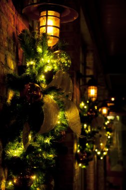Noel ışıkları ve köknar ağacı 