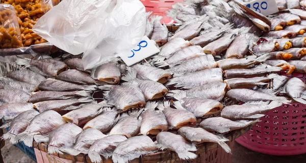 Sepat Sião peixe comer — Fotografia de Stock