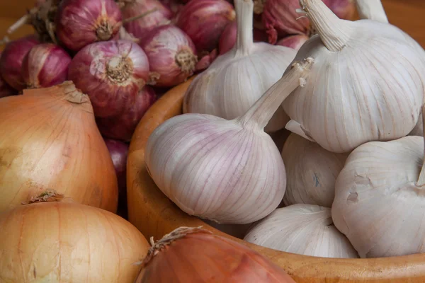 Schalotten Knoblauchzwiebeln — Stockfoto