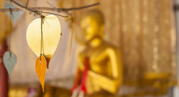 Bodhi verlaat kunst — Stockfoto