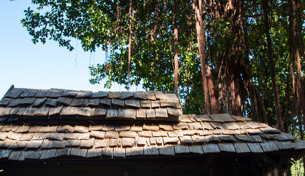 Wood roof background in thailand