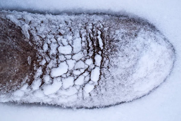 Desmamar pequenas botas na neve no inverno — Fotografia de Stock