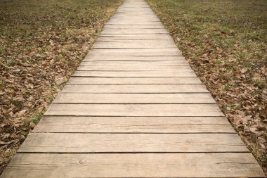 Tahta yol hasat edilen tarladan geçiyor.