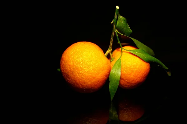 Două Mandarine Frunze Izolate Negru Reflexie — Fotografie, imagine de stoc