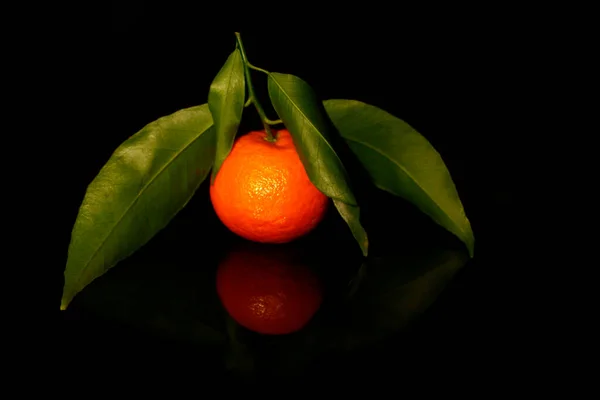 Mandarino Con Tre Foglie Isolate Nero Con Riflesso — Foto Stock