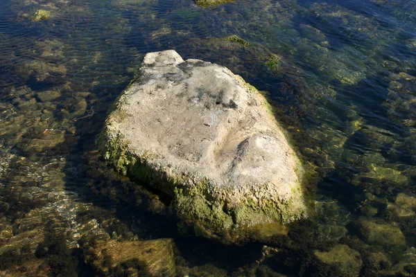 Büyük Kaya Açık Deniz Suyunda Yosunlu — Stok fotoğraf