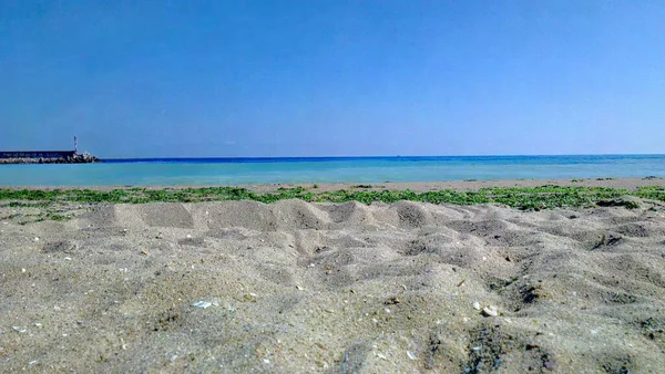 Strand Med Alger Och Turkost Hav Bakom — Stockfoto