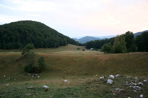 Dal Med Träd Och Berg Bakgrunden — Stockfoto