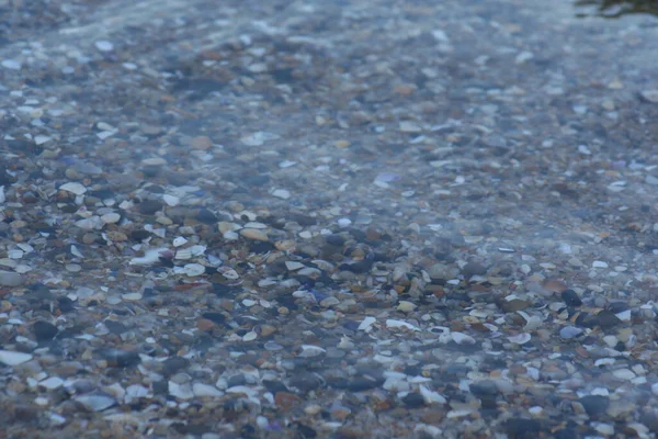 수정 같이 맑은 해수 밑에 있는 흰 돌 과 회색 돌 로열티 프리 스톡 사진
