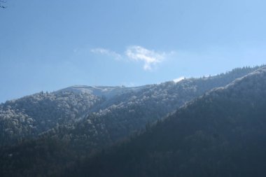 A mountain valley with trees covered by snow and blue sky