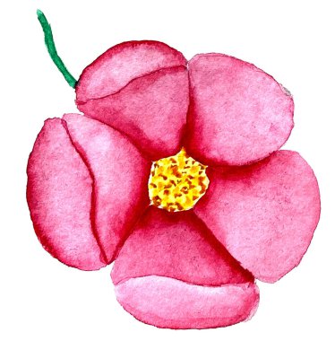 Ambalaj kağıdı, poster, arka plan, tekstil, desen için suluboya pembe çiçekler