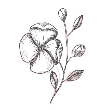 Posterler, kartpostallar, tekstil desenleri için çizgiler.