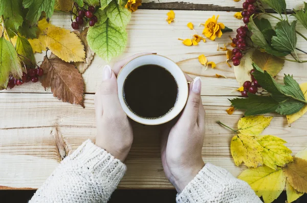 Kadınların elleri ile bir fincan kahve sonbahar arka plan üzerinde bırakır