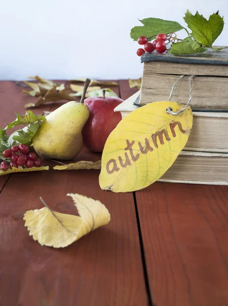 kitap, elma ve sonbahar yaprakları üzerinde ahşap bir masa