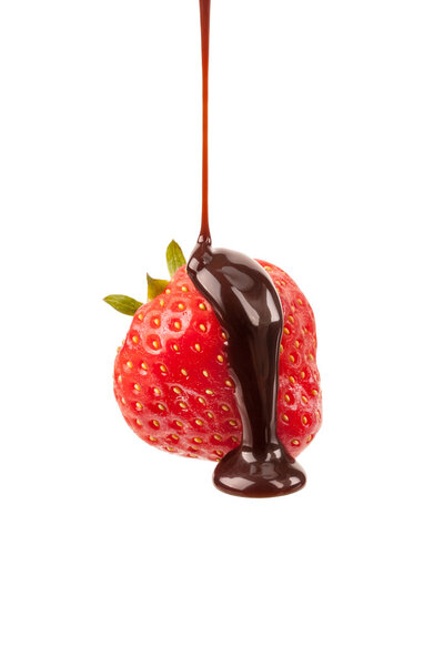 isolated strawberry with liquid chocolate