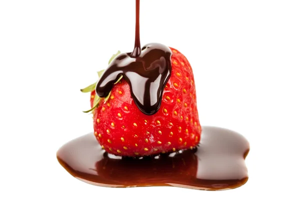 Fraise isolée au chocolat liquide — Photo