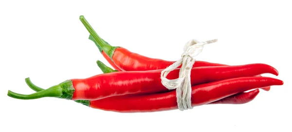 Red chili peppers with a bow — Stock Photo, Image