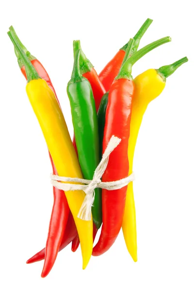 Isolated colorful chili peppers with a bow — Stock Photo, Image