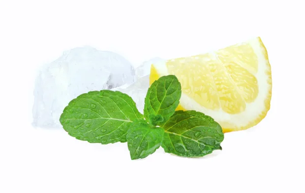 Buz ve nane limon — Stok fotoğraf