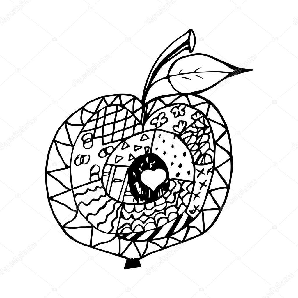 Zentangle Black And White Apple Stock Vector C Irenlukas 78294942