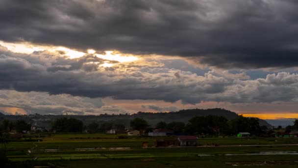 Balige Deki Rice Field Toba Gölü Kuzey Sumatra Endonezya Daki — Stok video