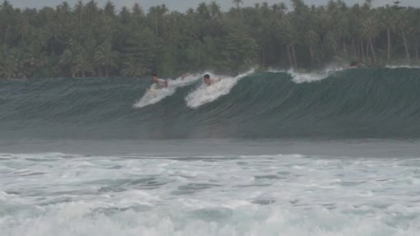 Surfing Perfect Wave Saroke Beach Slow Motion Νήσος Νίας Βόρεια — Αρχείο Βίντεο