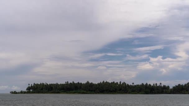 インドネシア北スマトラ州ニアス島のトロピカルビーチのヤシの木 Time Lapse — ストック動画